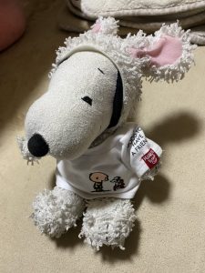 すぬちゃんIMG_0146