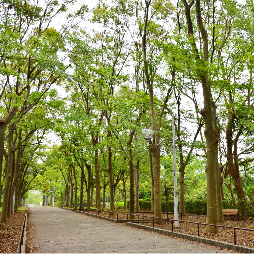 泉北の緑道は快くて心地いい。 | 株式会社アーツ
