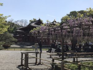 IMG_1268