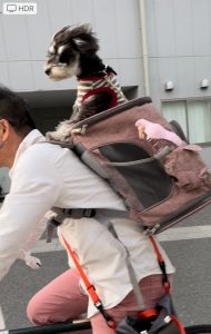 IMG_20220521_173306