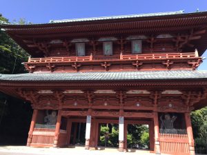 IMG_1530