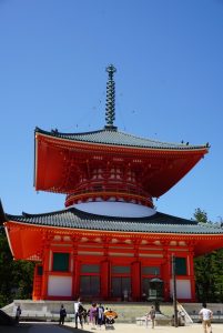 IMG_1558