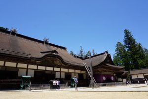 IMG_1560