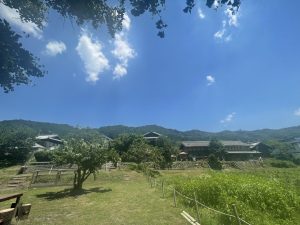 IMG_5059