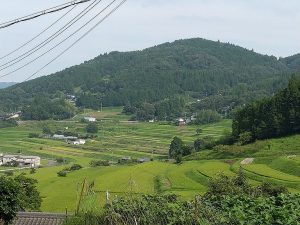DSC_0140.JPG