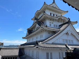 IMG_1713