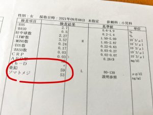221020_yoshi03