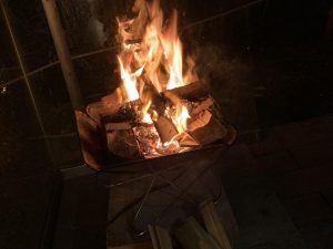 焚火で野性を取り戻します