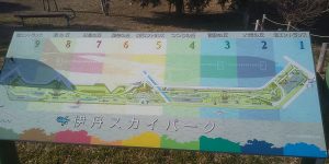 ⑤