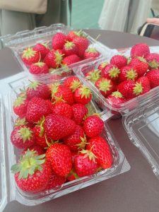 IMG_8781 いちご