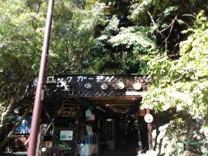 IMG_20181103_122134