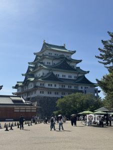 IMG_3145