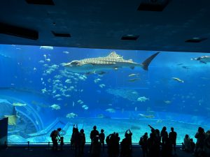 IMG_6022