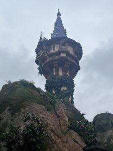 IMG_8730