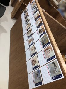 IMG_4127