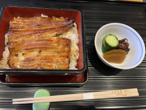 IMG_1177