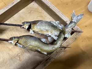 IMG_3659