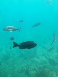 IMG_2938
