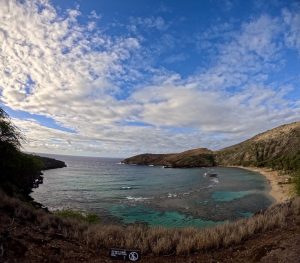 IMG_3703