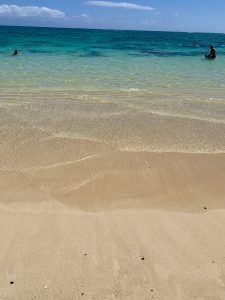 IMG_3875