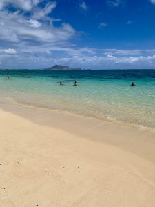 IMG_3876
