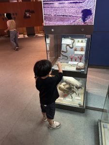 IMG_2370