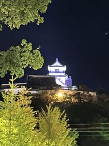 ライトアップされた高知城