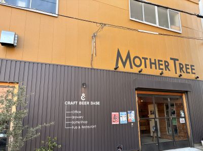 RAFT BEER BASE MOTHER TREE