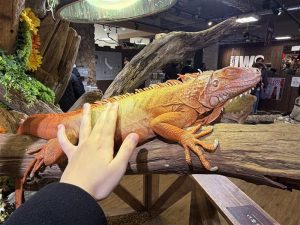 11764da5-ebe2-4423-91a2-80dcd1817136