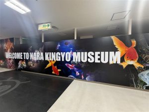 ac788d00-58ce-47e7-a5f0-922e0aea038b