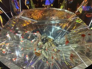 c1cae72f-9020-4008-a4c8-3793b3ef6c65