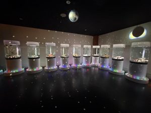 dd1ca5b9-b2b4-438b-9b4b-f8275182e0d7