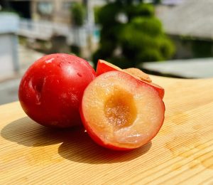 プラム