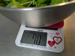 photo_4