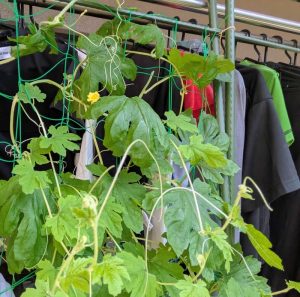 photo_6