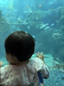 水族館