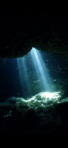 Image (1)