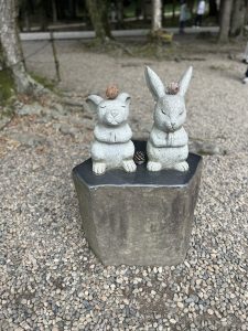 Image (2)